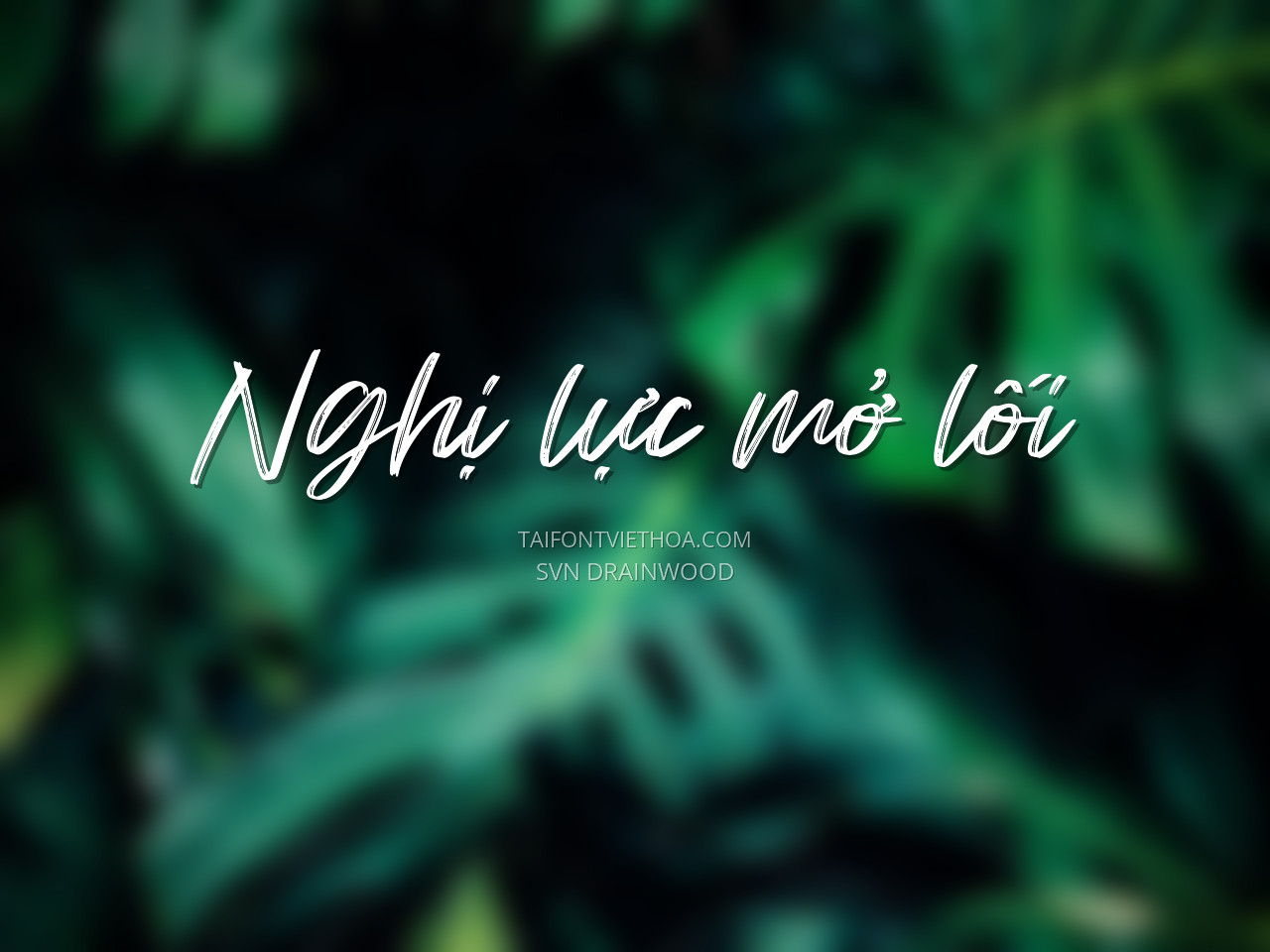 Font việt hóa SVN Drainwood