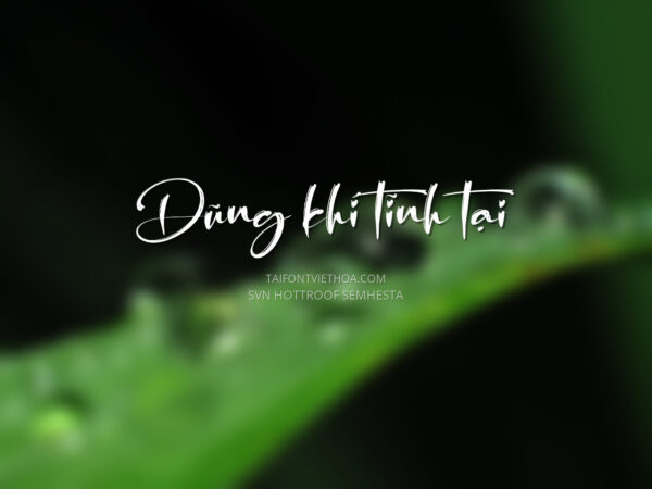 Font việt hóa SVN Hottroof Semhesta