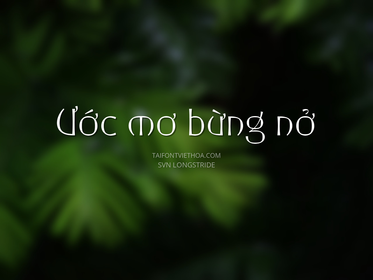 Font việt hóa SVN Longstride