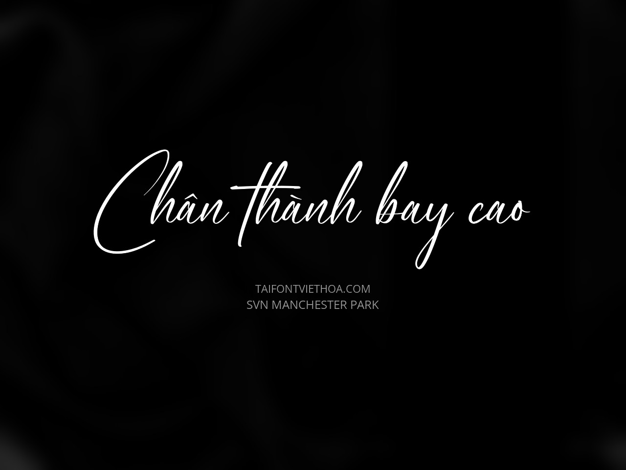 Font việt hóa SVN Manchester Park