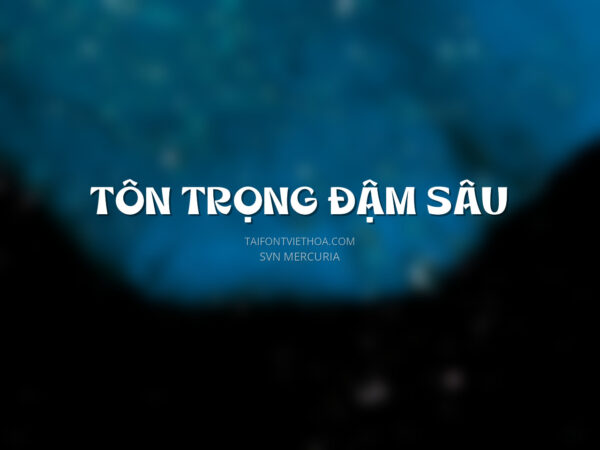 Font việt hóa SVN Mercuria