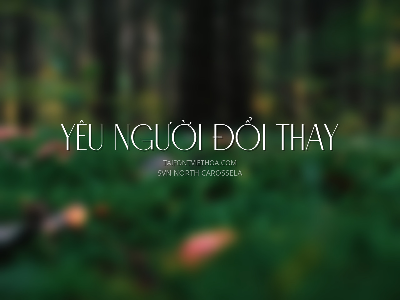 Font việt hóa SVN North Carossela