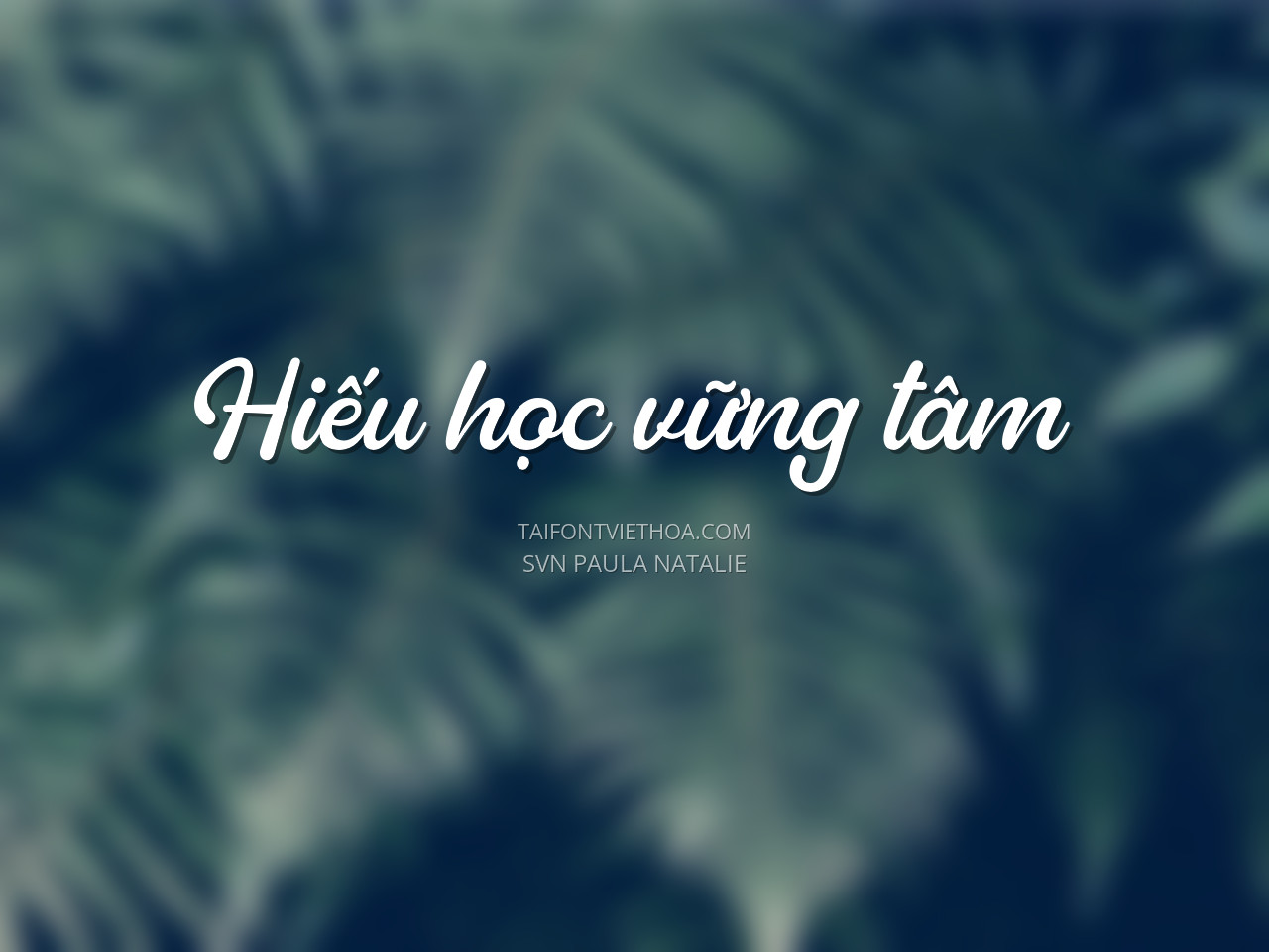 Font việt hóa SVN Paula Natalie