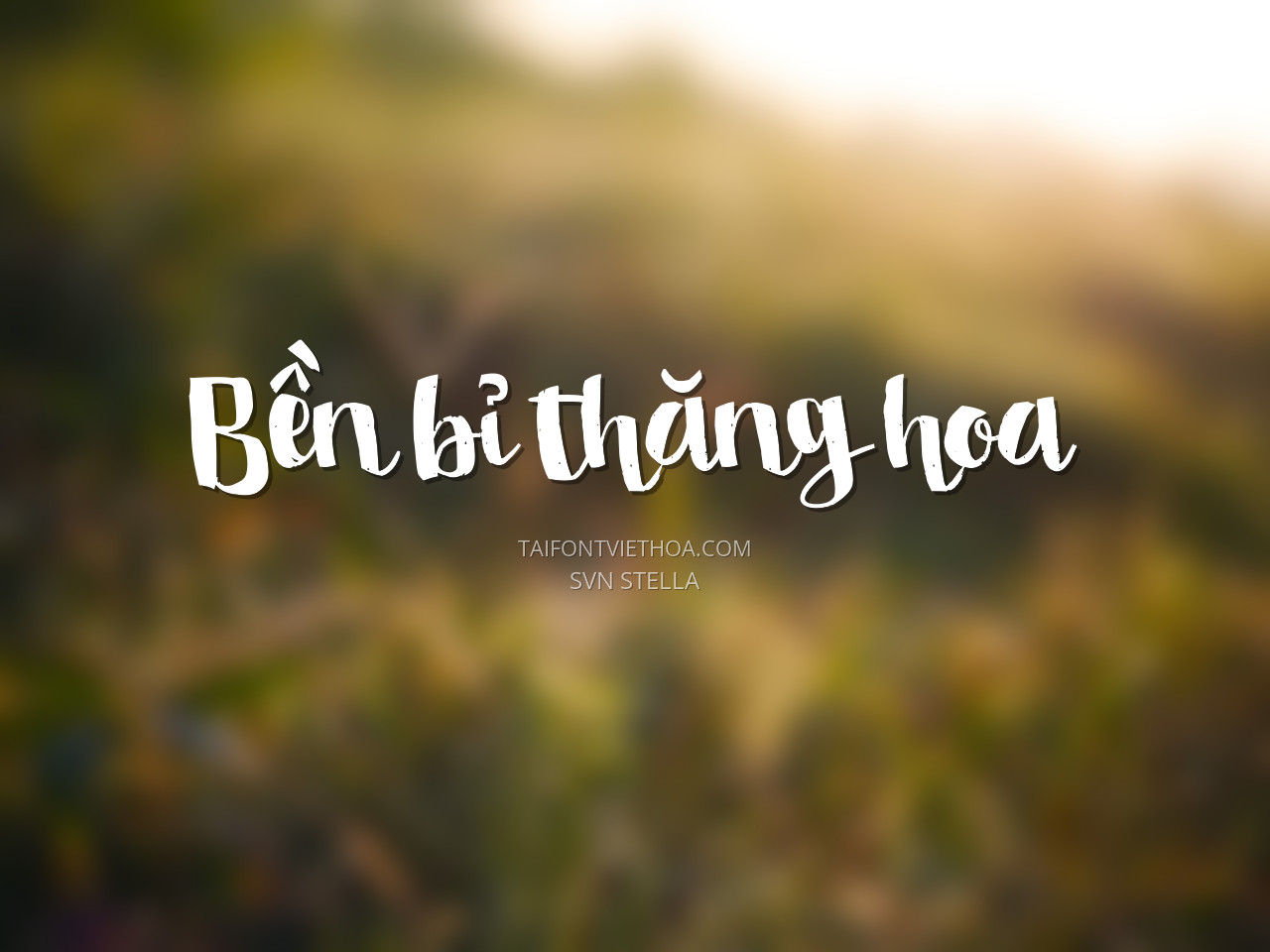 Font việt hóa SVN Stella