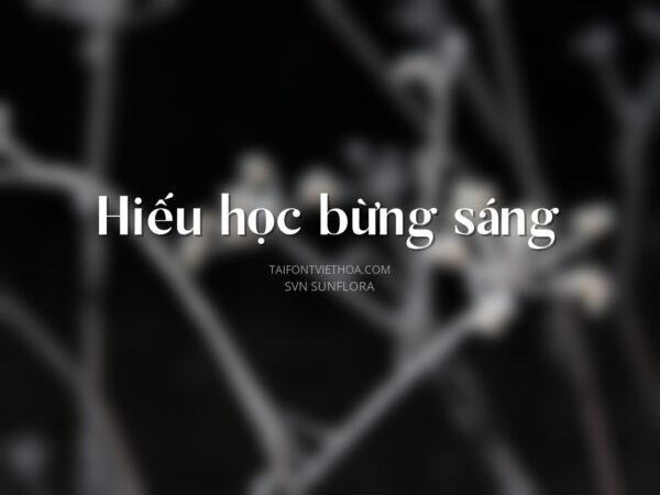 Font việt hóa SVN Sunflora