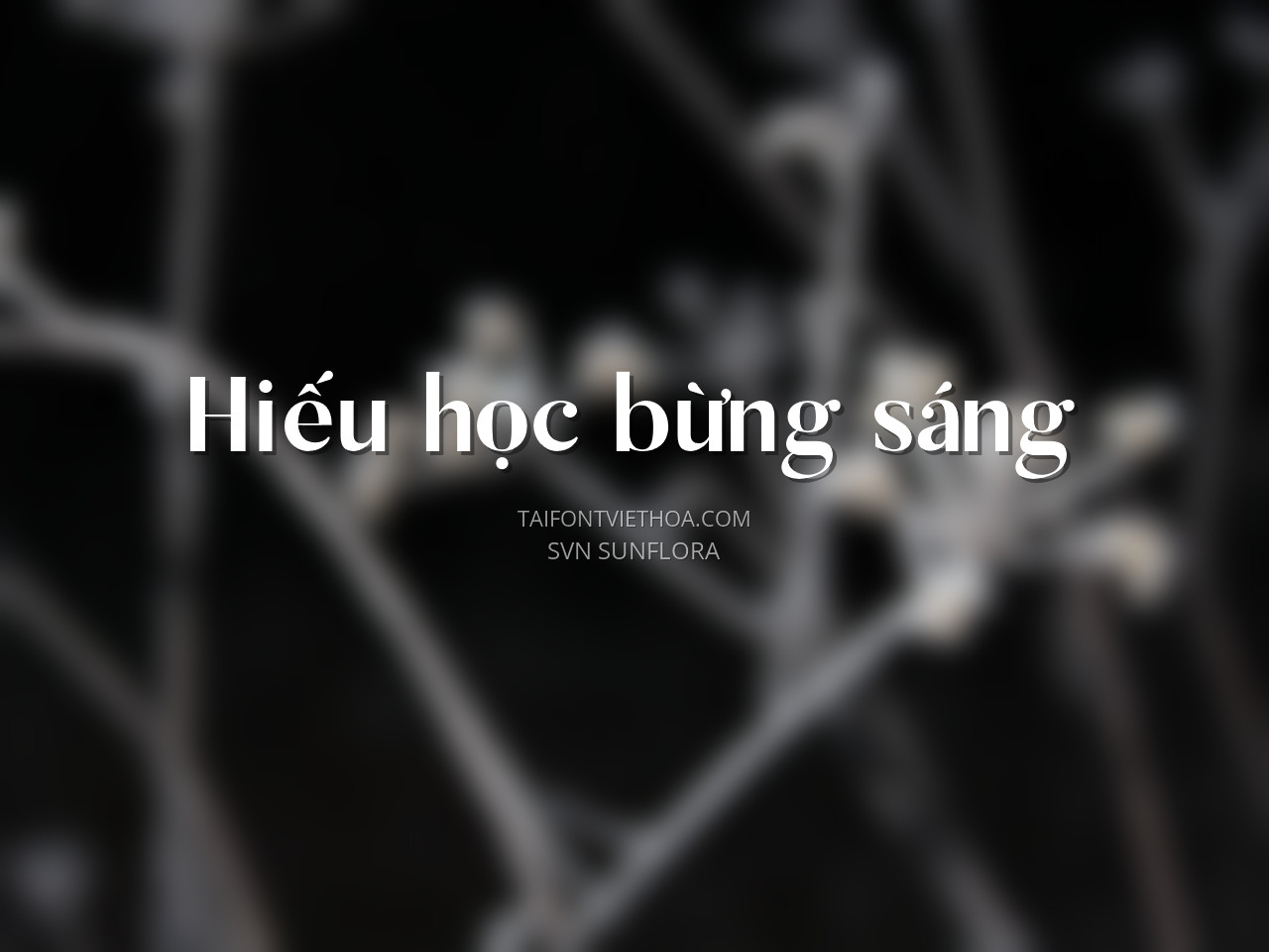 Font việt hóa SVN Sunflora