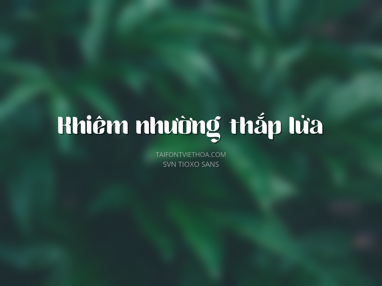 Font việt hóa SVN Tioxo Sans