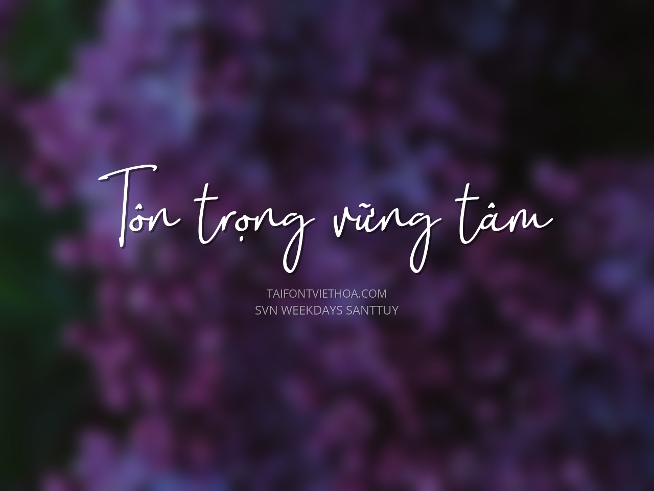 Font việt hóa SVN Weekdays Santtuy