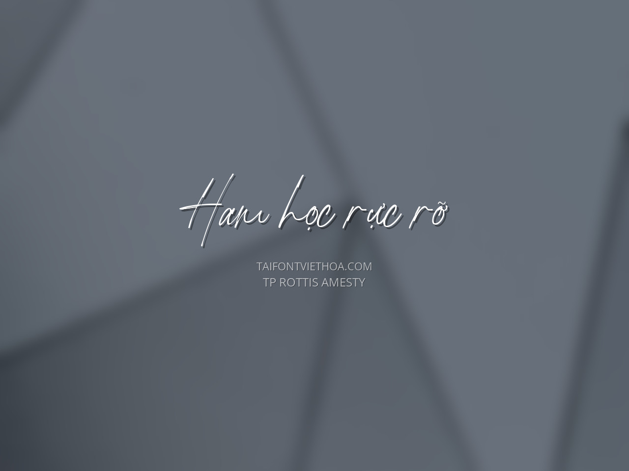 Font việt hóa TP Rottis Amesty