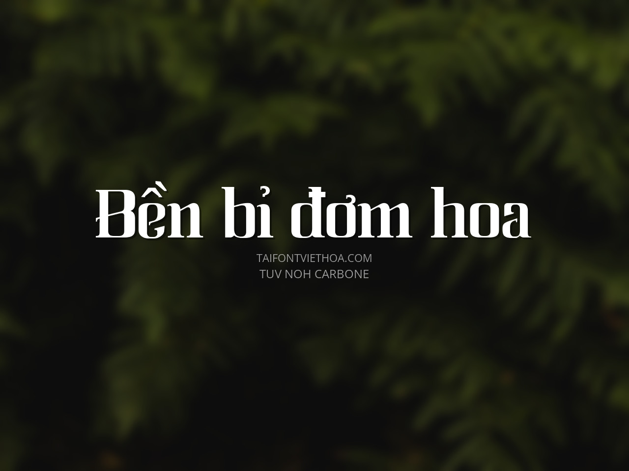 Font việt hóa TUV Noh Carbone