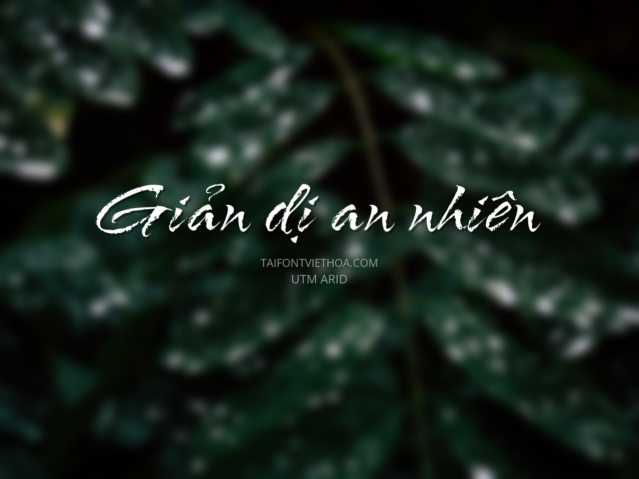 Font việt hóa UTM Arid