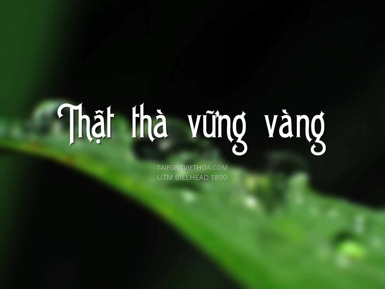 Font việt hóa UTM Billhead 1890