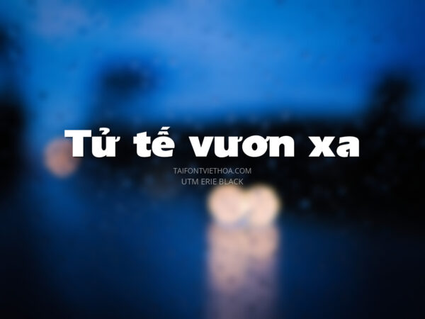 Font việt hóa UTM Erie Black