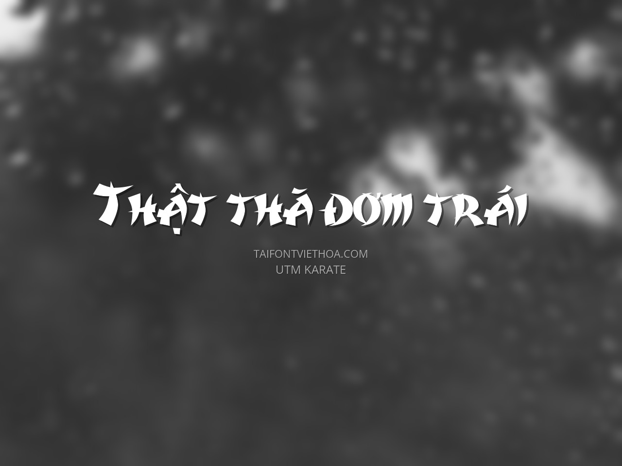 Font việt hóa UTM Karate