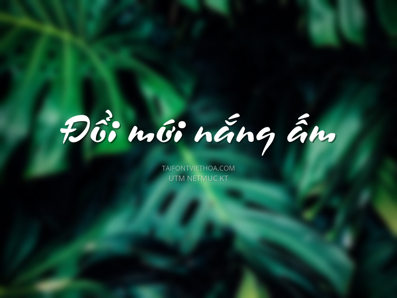 Font việt hóa UTM Netmuc KT