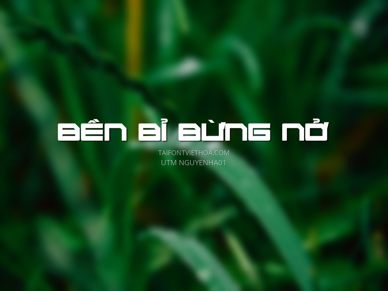Font việt hóa UTM Nguyenha đầy đủ