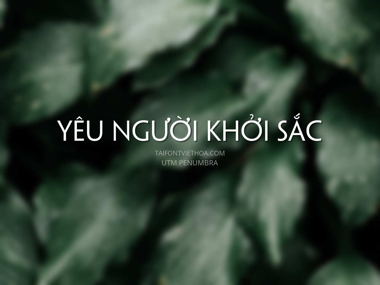Font việt hóa UTM Penumbra đầy đủ