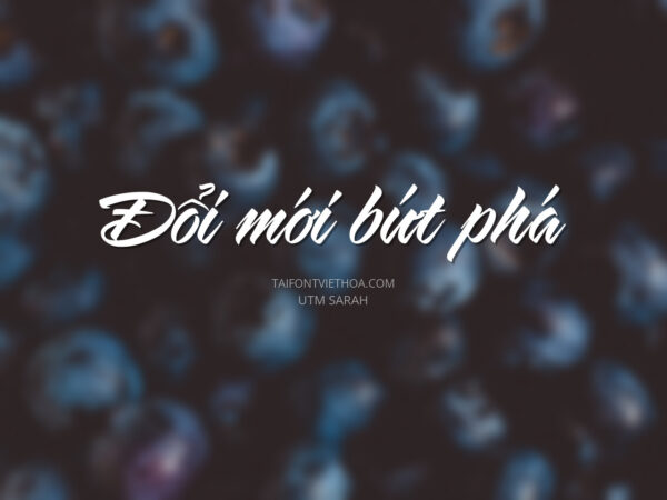 Font việt hóa UTM Sarah