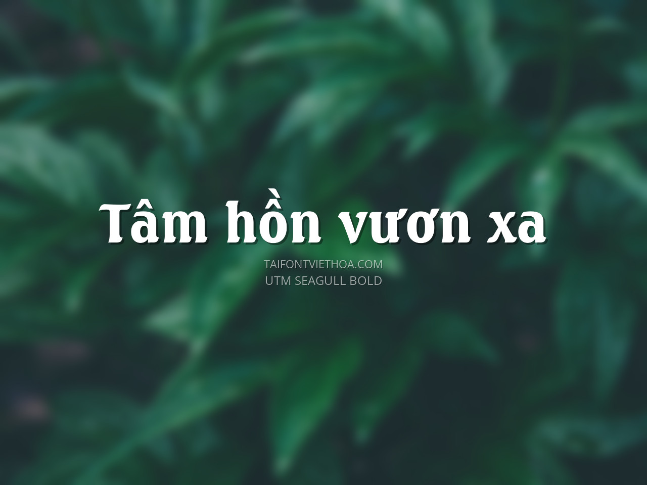 Font việt hóa UTM Seagullbold
