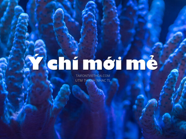 Font việt hóa UTM Thanh Nhac TL