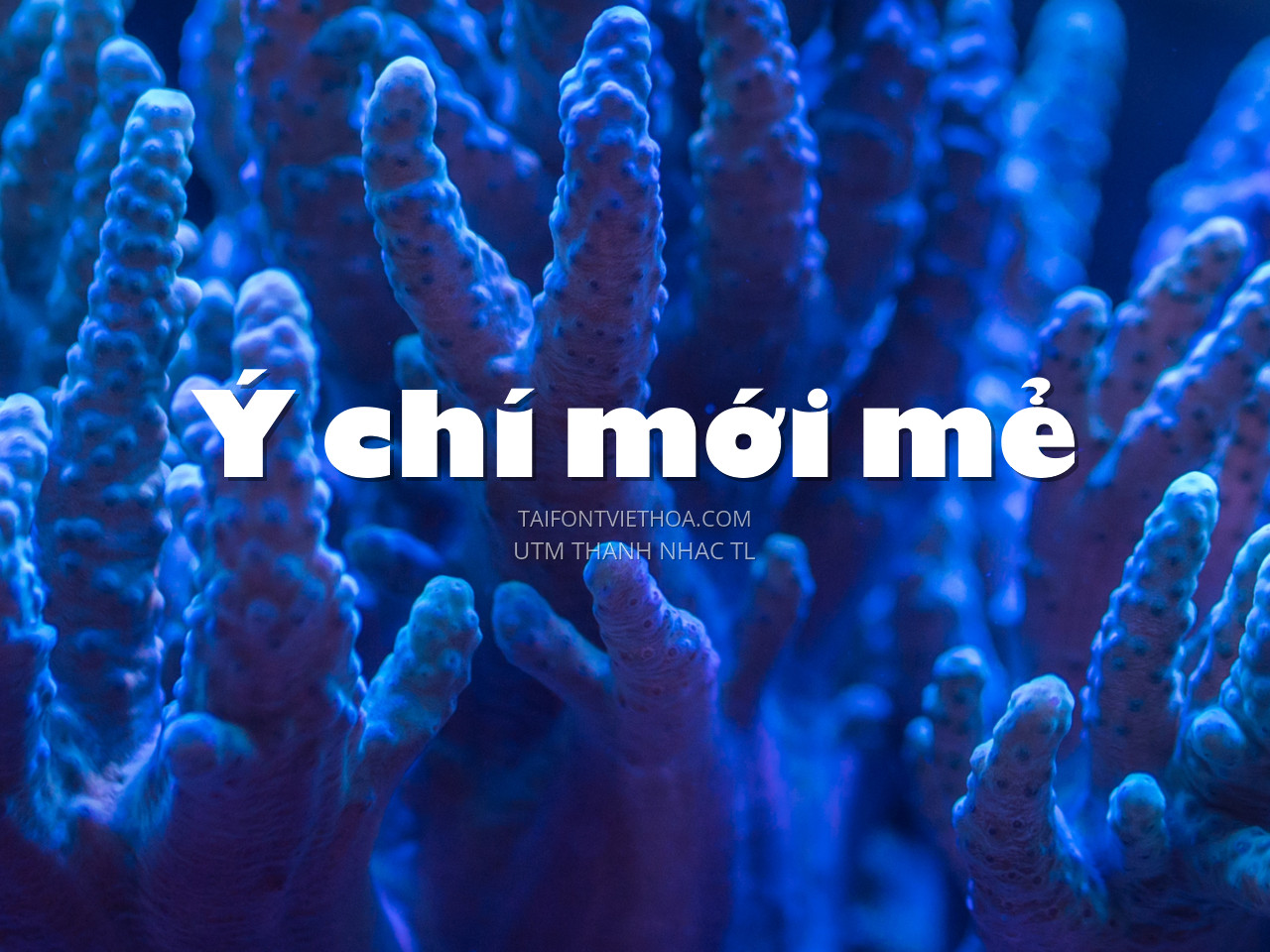 Font việt hóa UTM Thanh Nhac TL