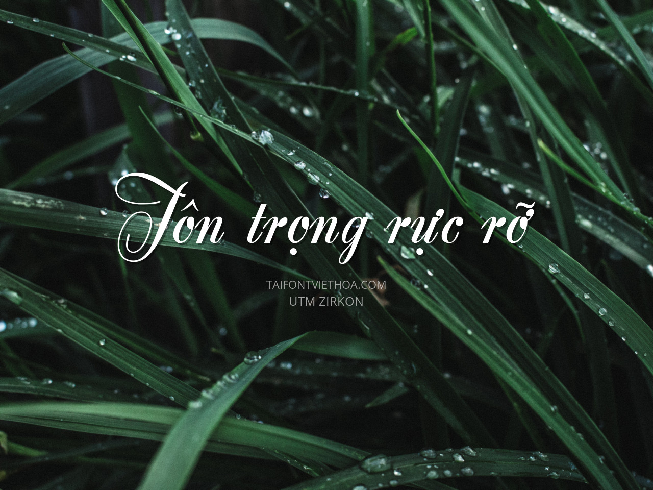 Font việt hóa UTM Zirkon