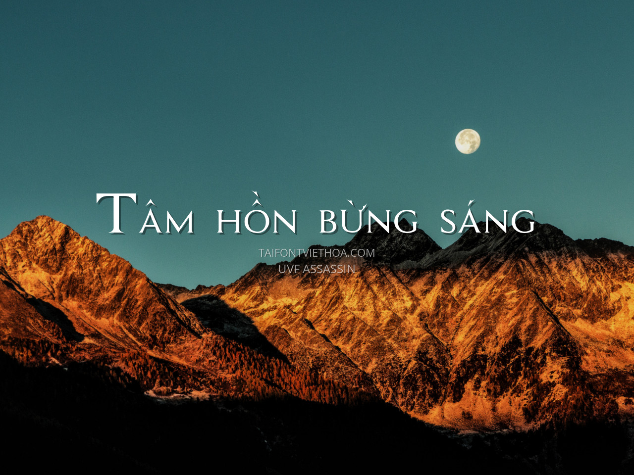 Font việt hóa UVF Assassin