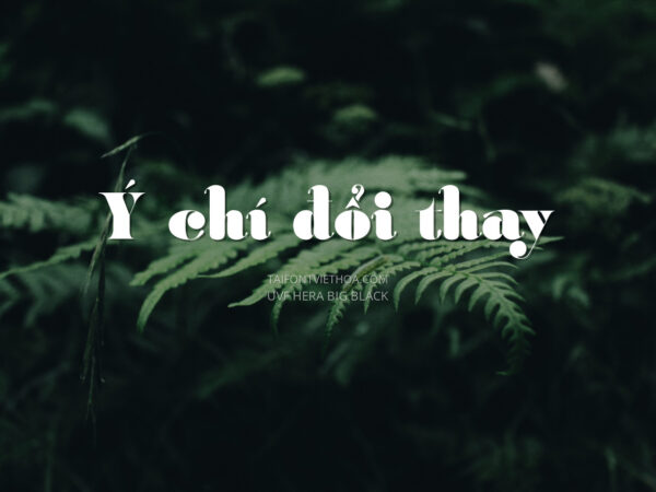 Font việt hóa UVF Hera Big Black