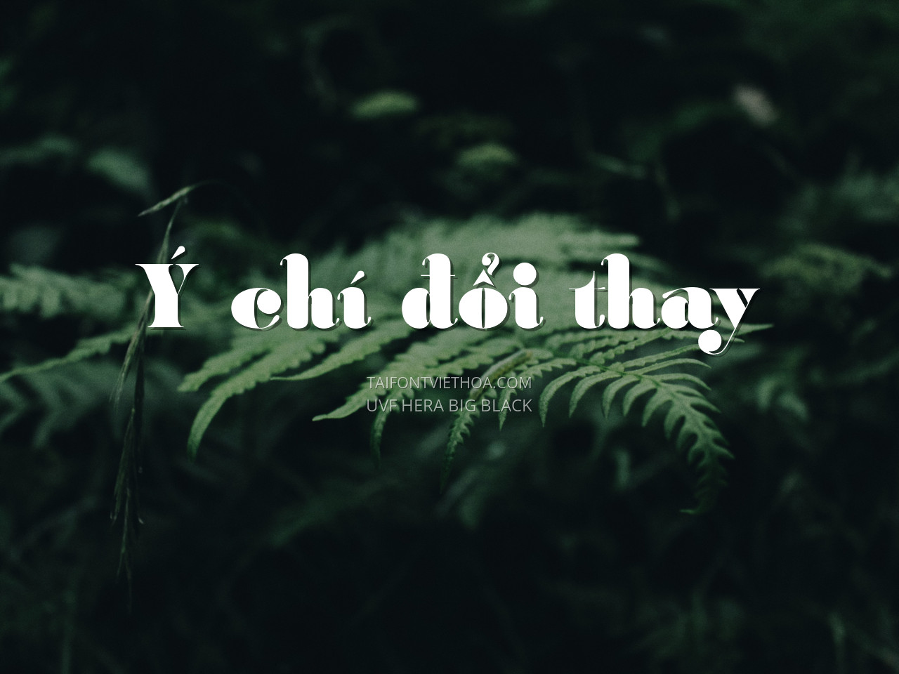 Font việt hóa UVF Hera Big Black