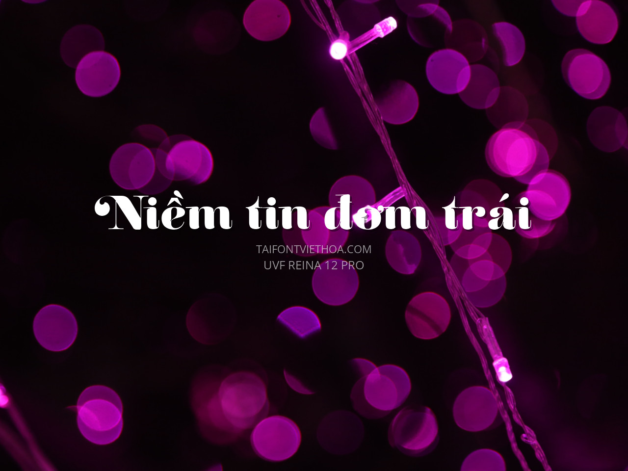 Font việt hóa UVF Reina 12 Pro