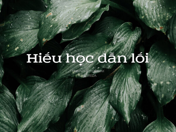 Font việt hóa UVF Sreda