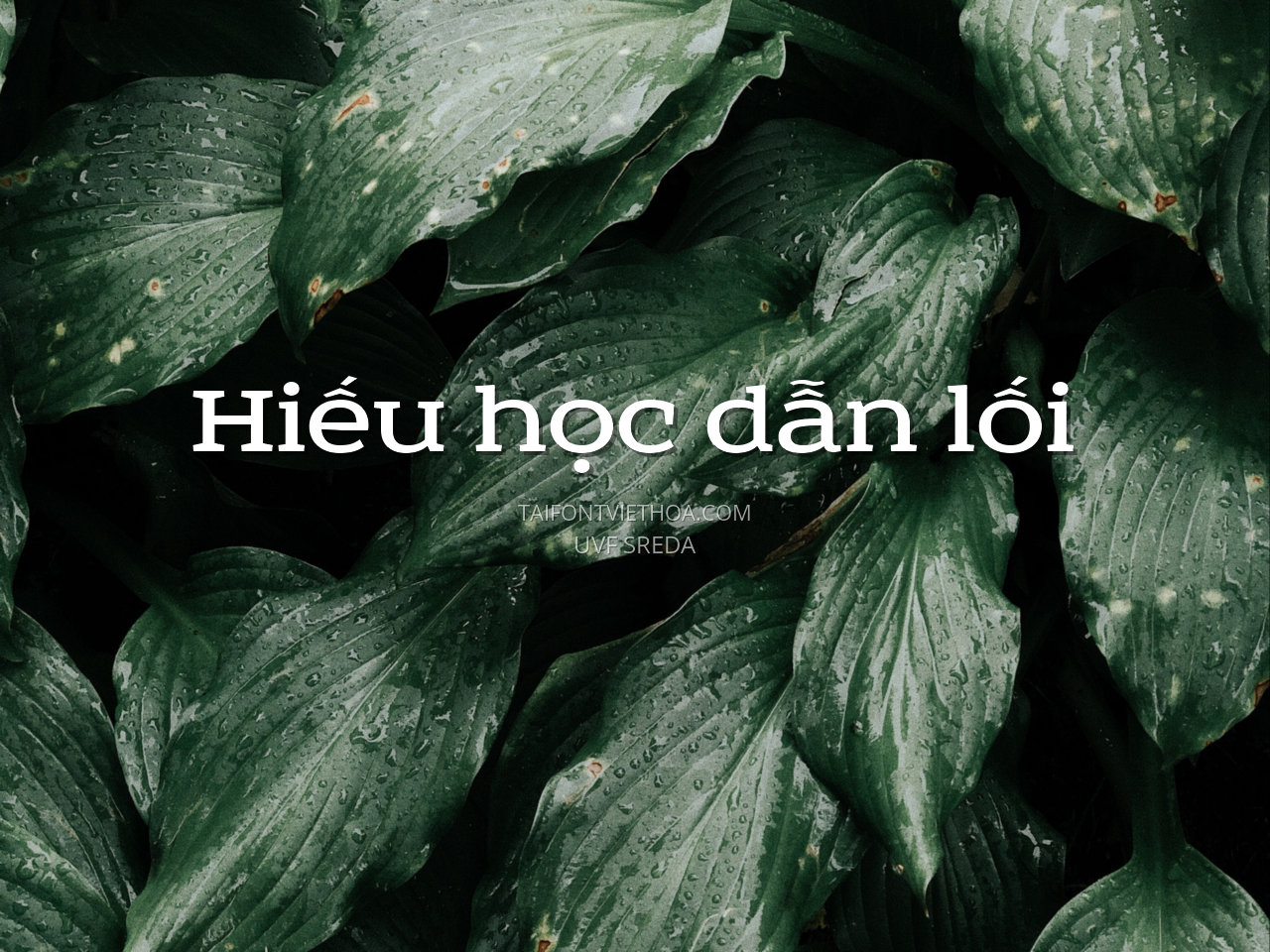 Font việt hóa UVF Sreda