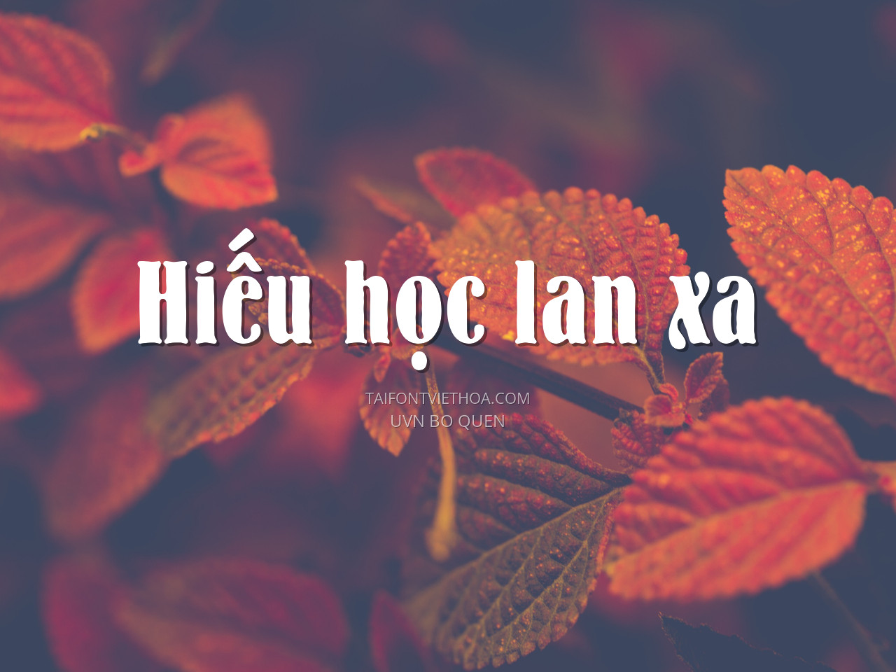 Font việt hóa UVN Bo Quen