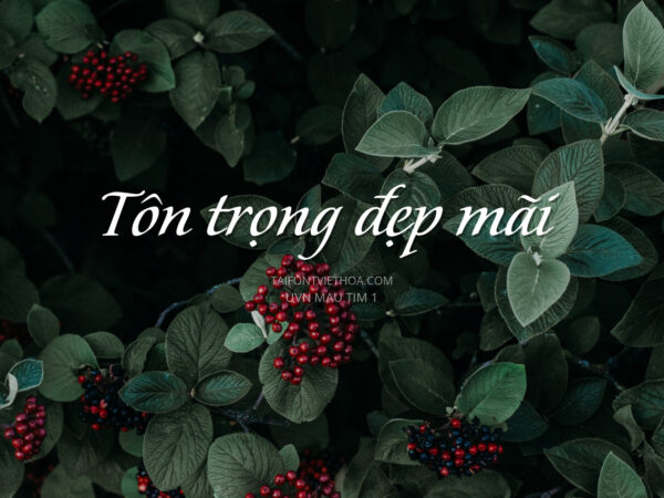 Font việt hóa UVN Mau Tim