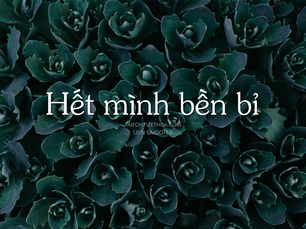 Font việt hóa UVN Sai Gon