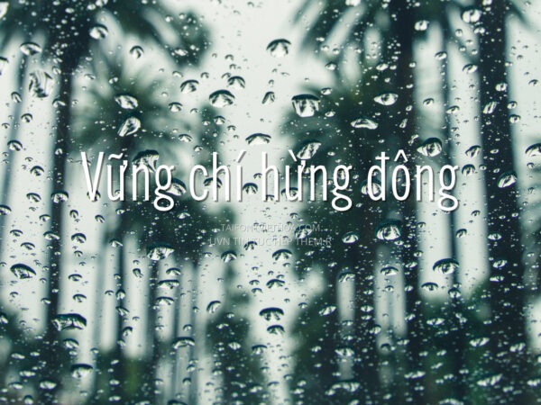 Font việt hóa UVN Tin Tuc Hep Them