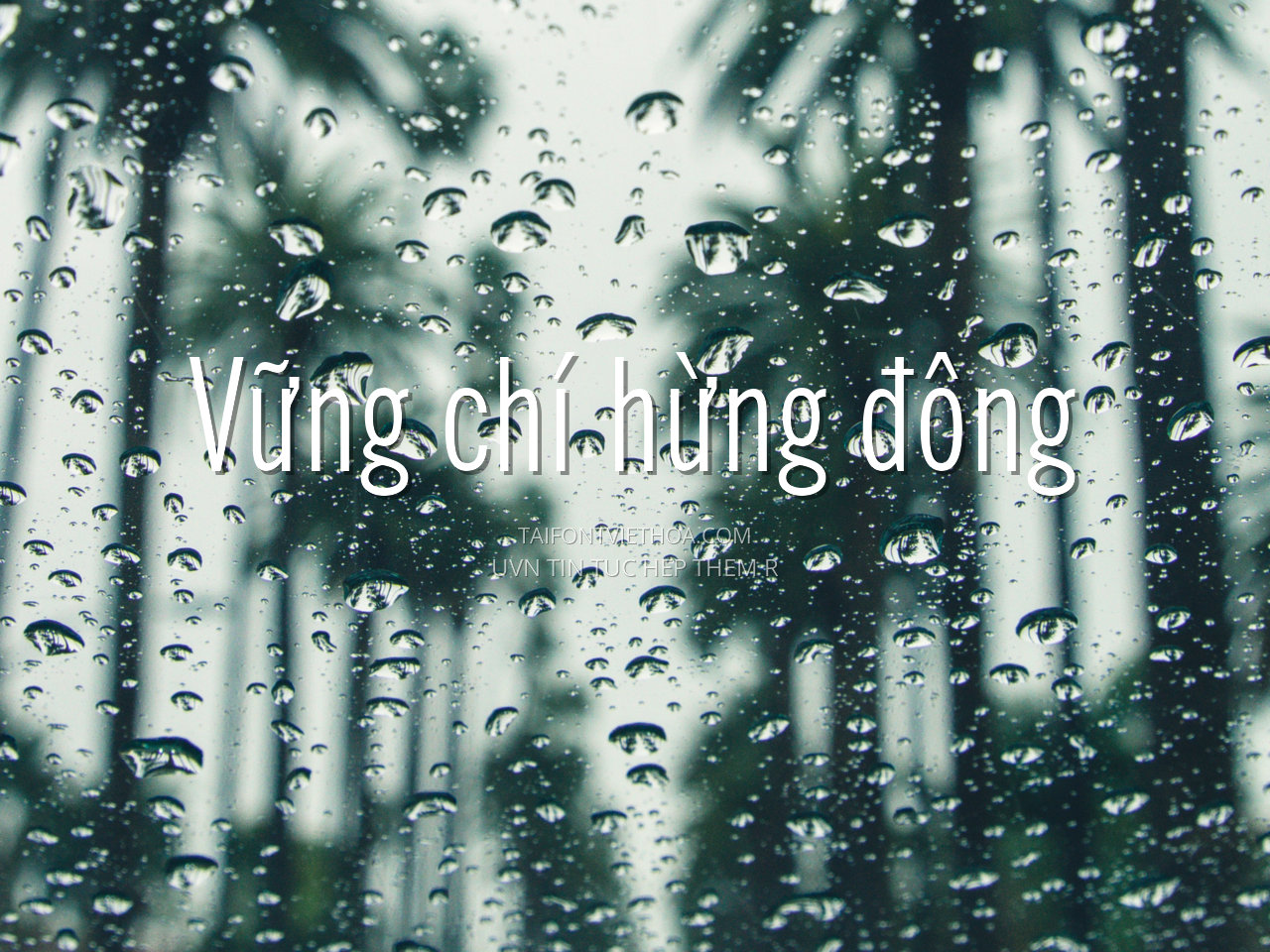 Font việt hóa UVN Tin Tuc Hep Them