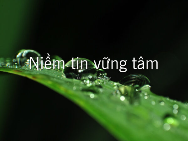 Font việt hóa UVN Tin Tuc