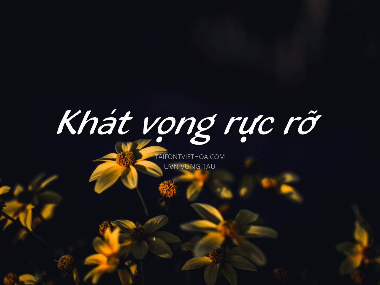 Font việt hóa UVN Vung Tau