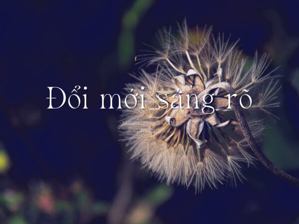 Font việt hóa VL Avander