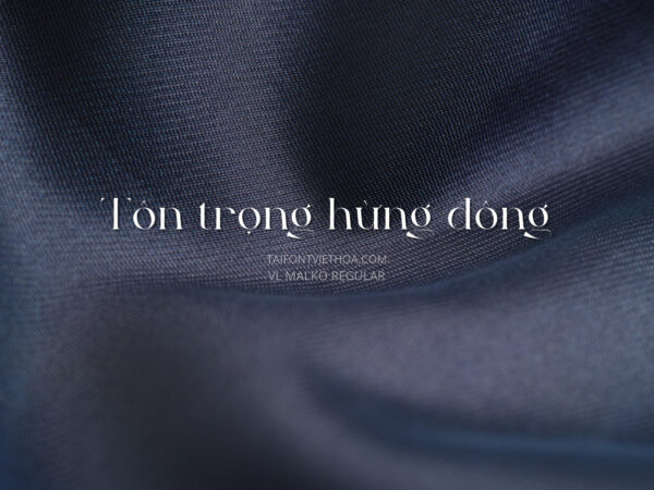 Font việt hóa VL Malko