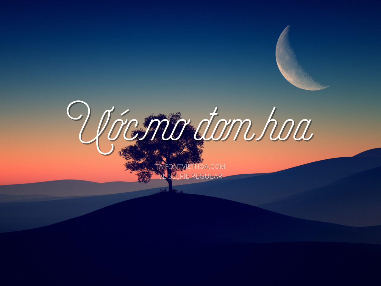 Font việt hóa VL Selfie