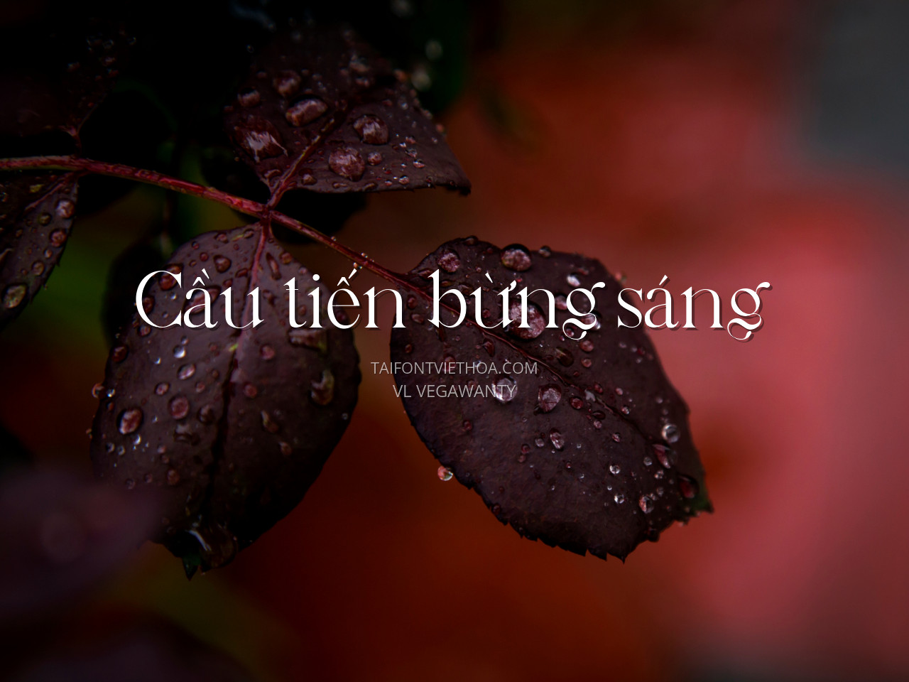 Font việt hóa VL Vegawanty Modern