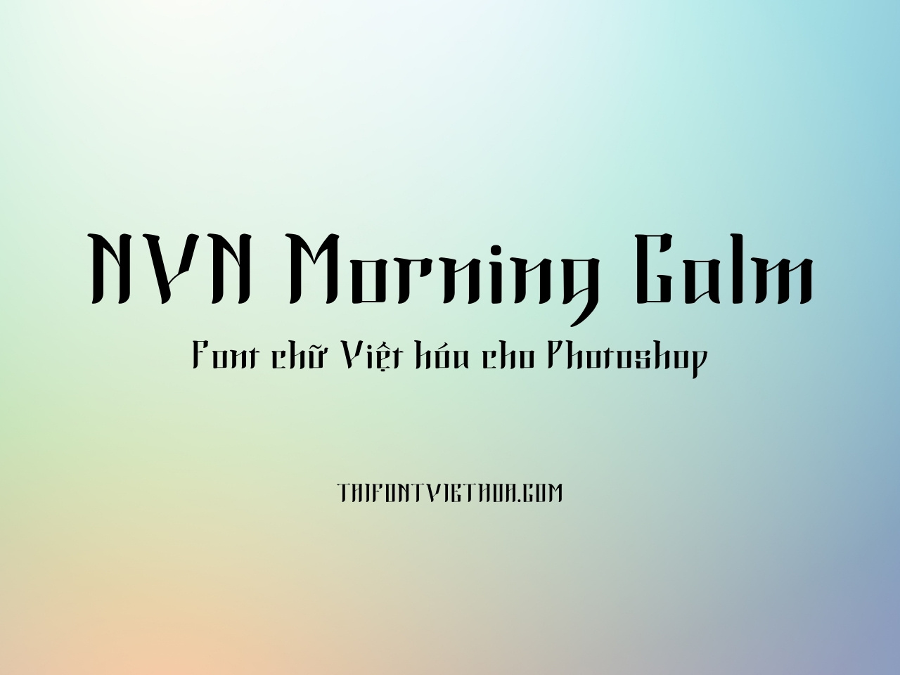 NVN Morning Calm